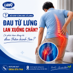 ❓ Đau từ thắt lưng lan xuống chân, có phải tôi bị đau thần kinh tọa không?